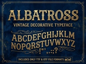 Albatross Font: Modern Typography for Creative Design