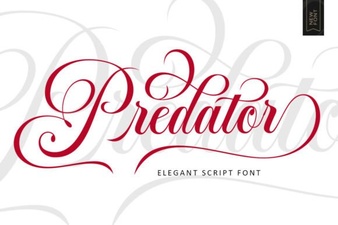 Predator Font – Bold Script Font for Dynamic Designs